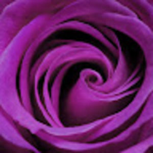 Meet your Posher, Tracy-ann